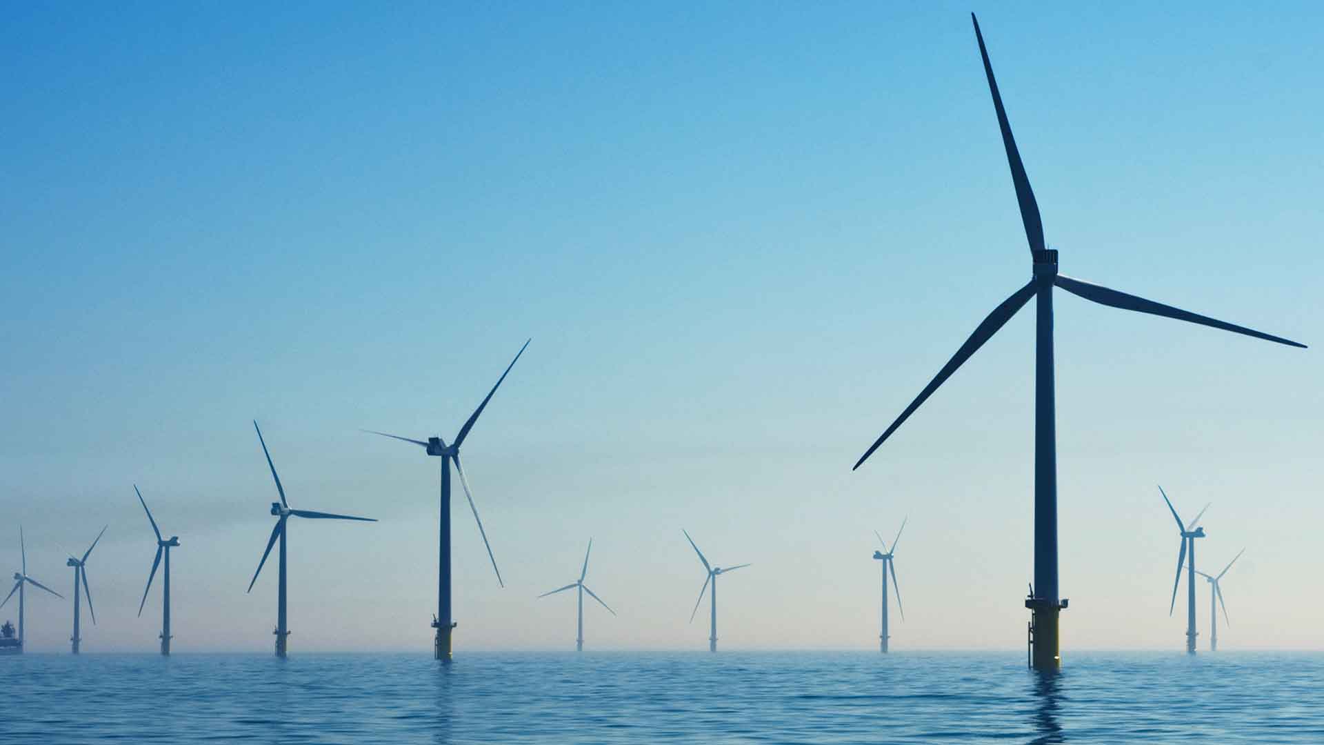 Renewable Energy Development